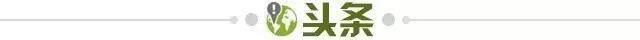 6d6a5d55-3a0b-406b-8e9c-3aa0fe31bdc8.jpg@!img01